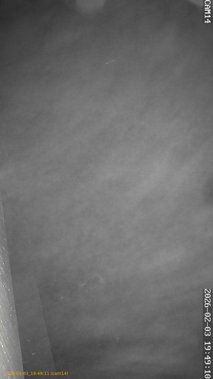 thumbnail_20260203194911