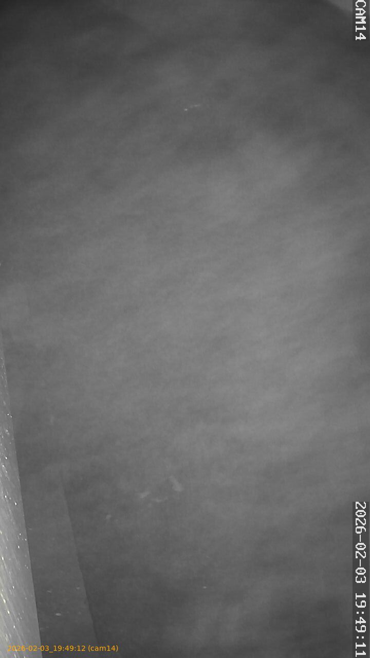 thumbnail_20260203194912