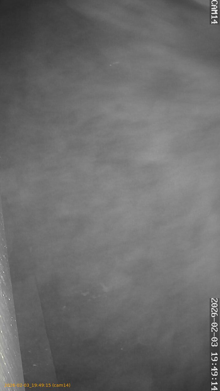 thumbnail_20260203194915