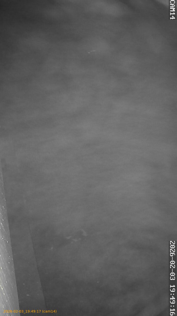 thumbnail_20260203194917