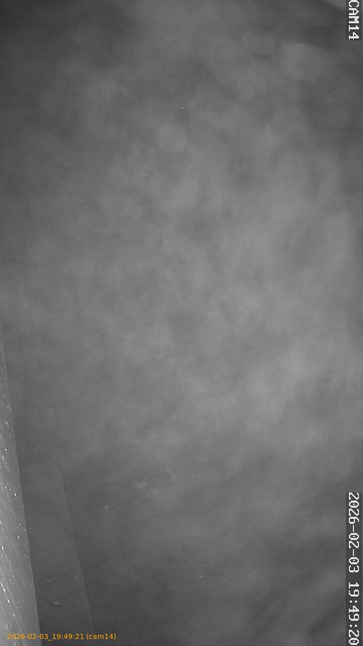 thumbnail_20260203194921