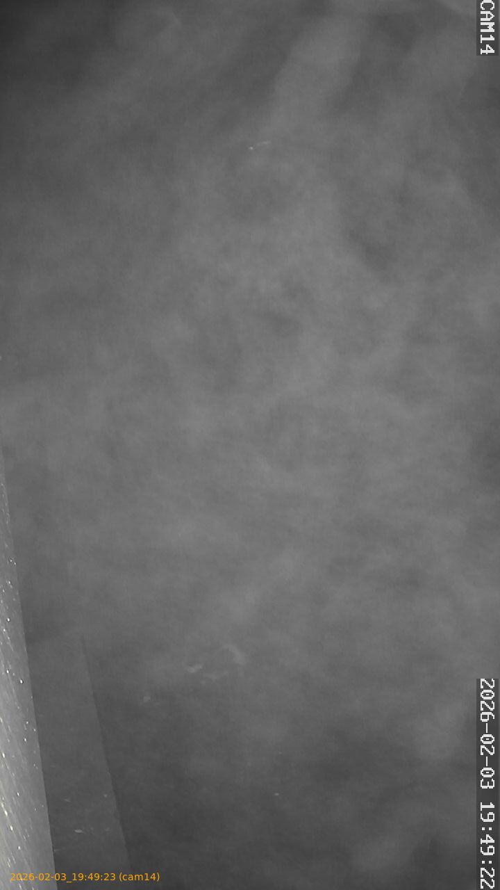 thumbnail_20260203194923