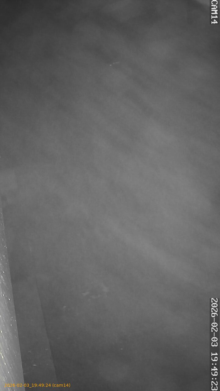 thumbnail_20260203194924