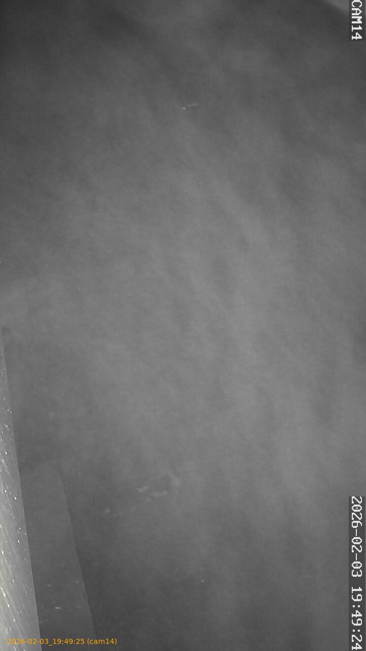 thumbnail_20260203194925