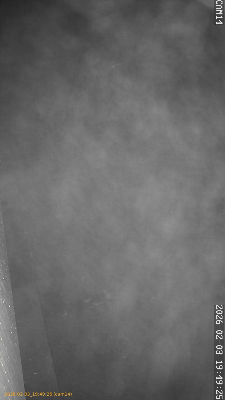 thumbnail_20260203194926