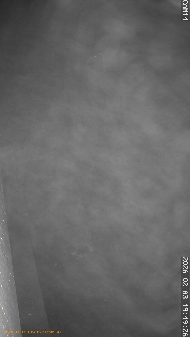 thumbnail_20260203194927