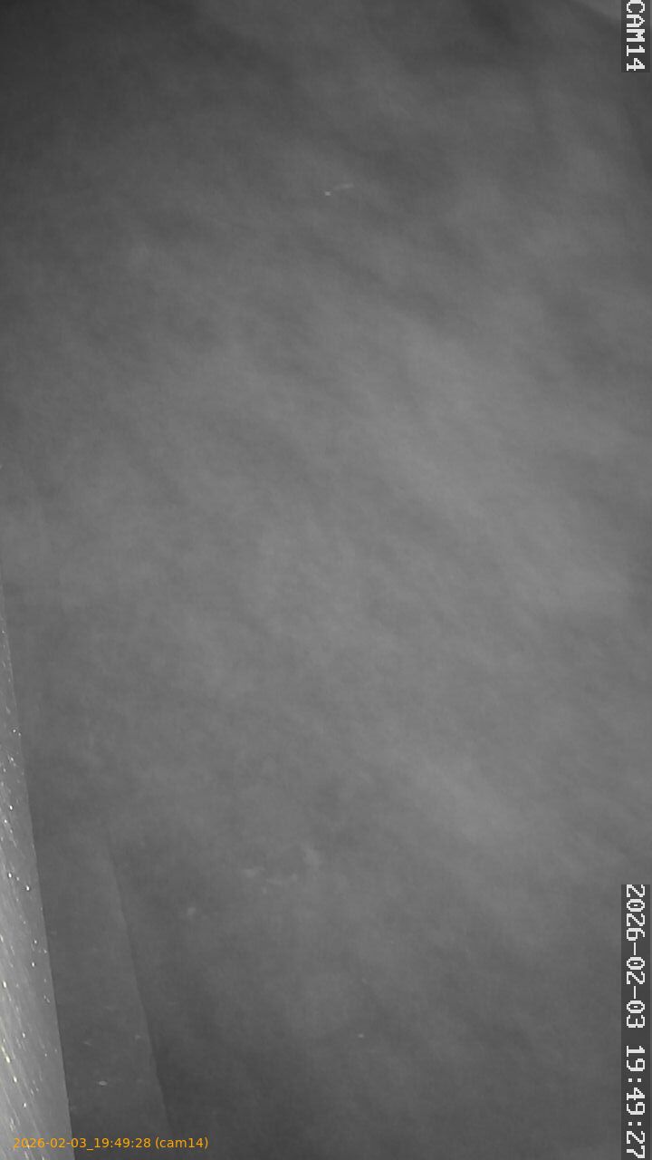 thumbnail_20260203194928