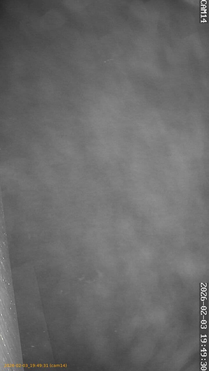 thumbnail_20260203194931