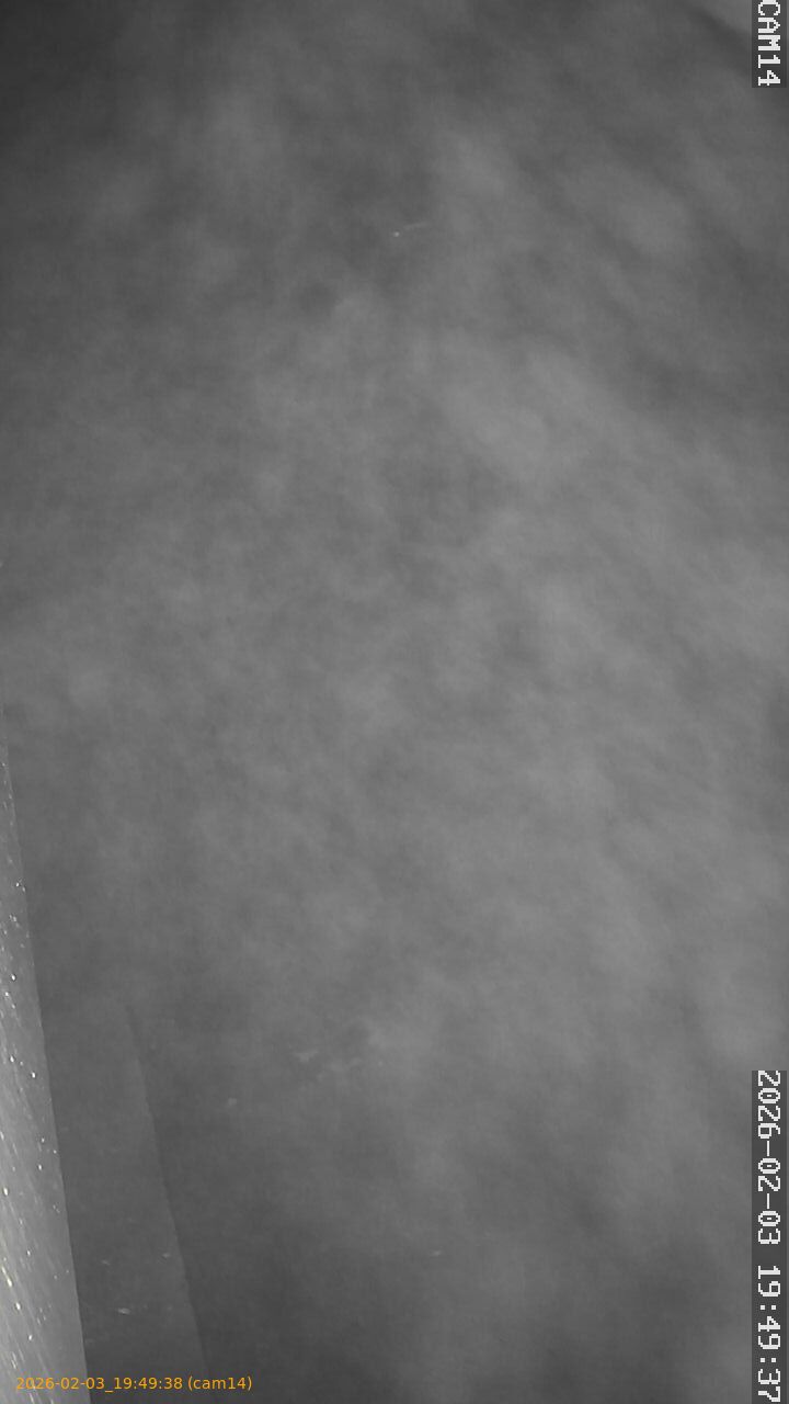 thumbnail_20260203194938