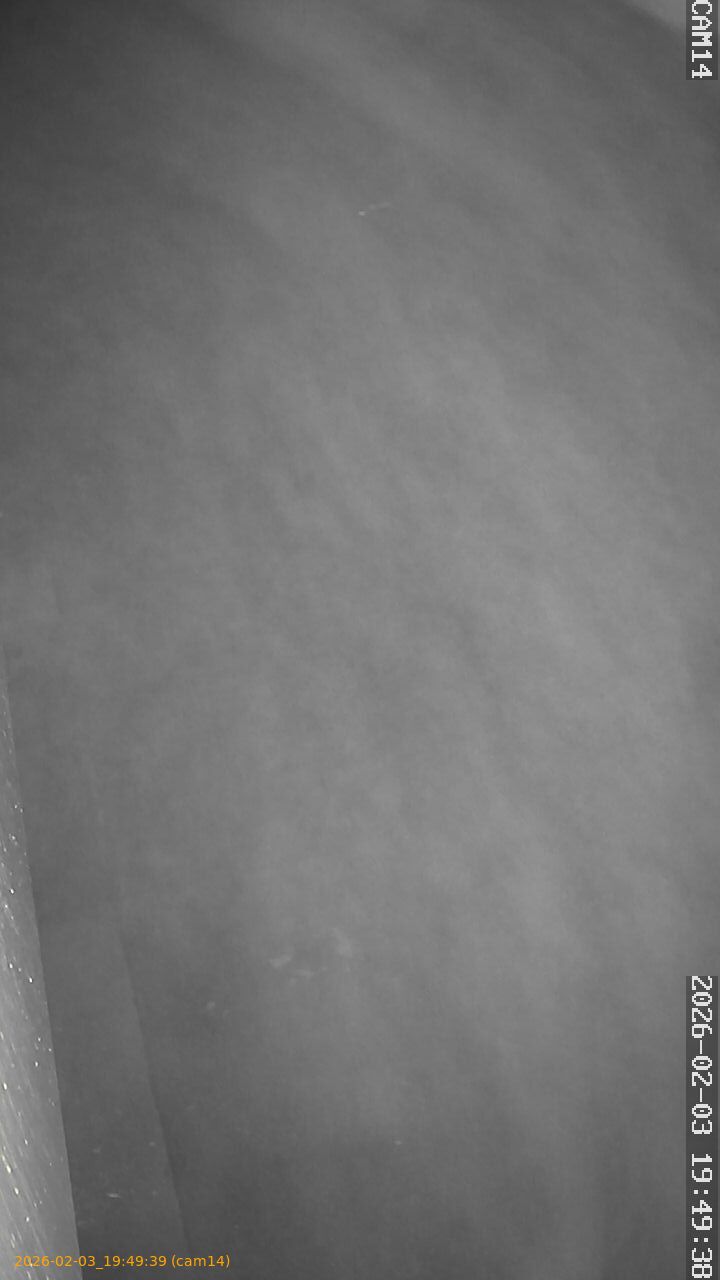 thumbnail_20260203194939