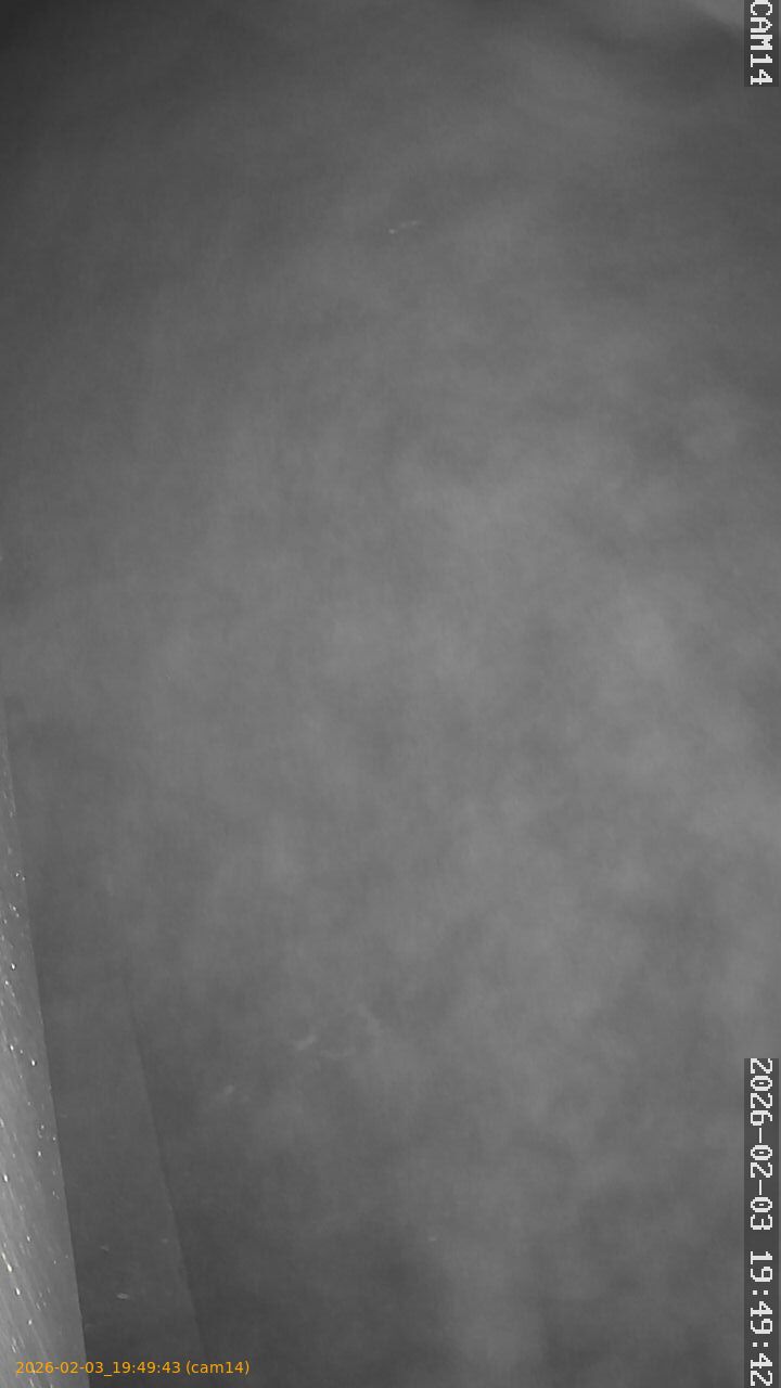 thumbnail_20260203194943