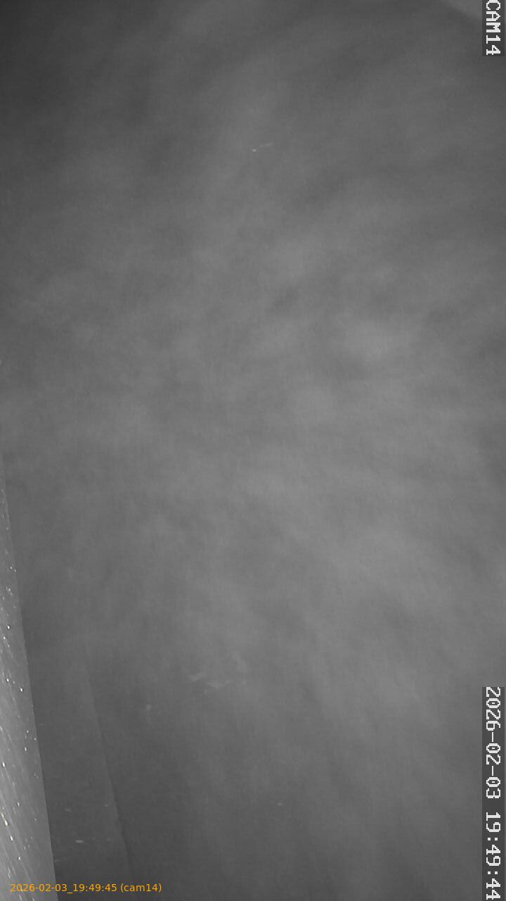 thumbnail_20260203194945