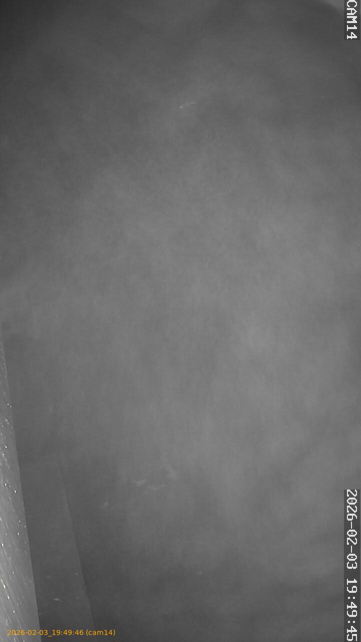 thumbnail_20260203194946