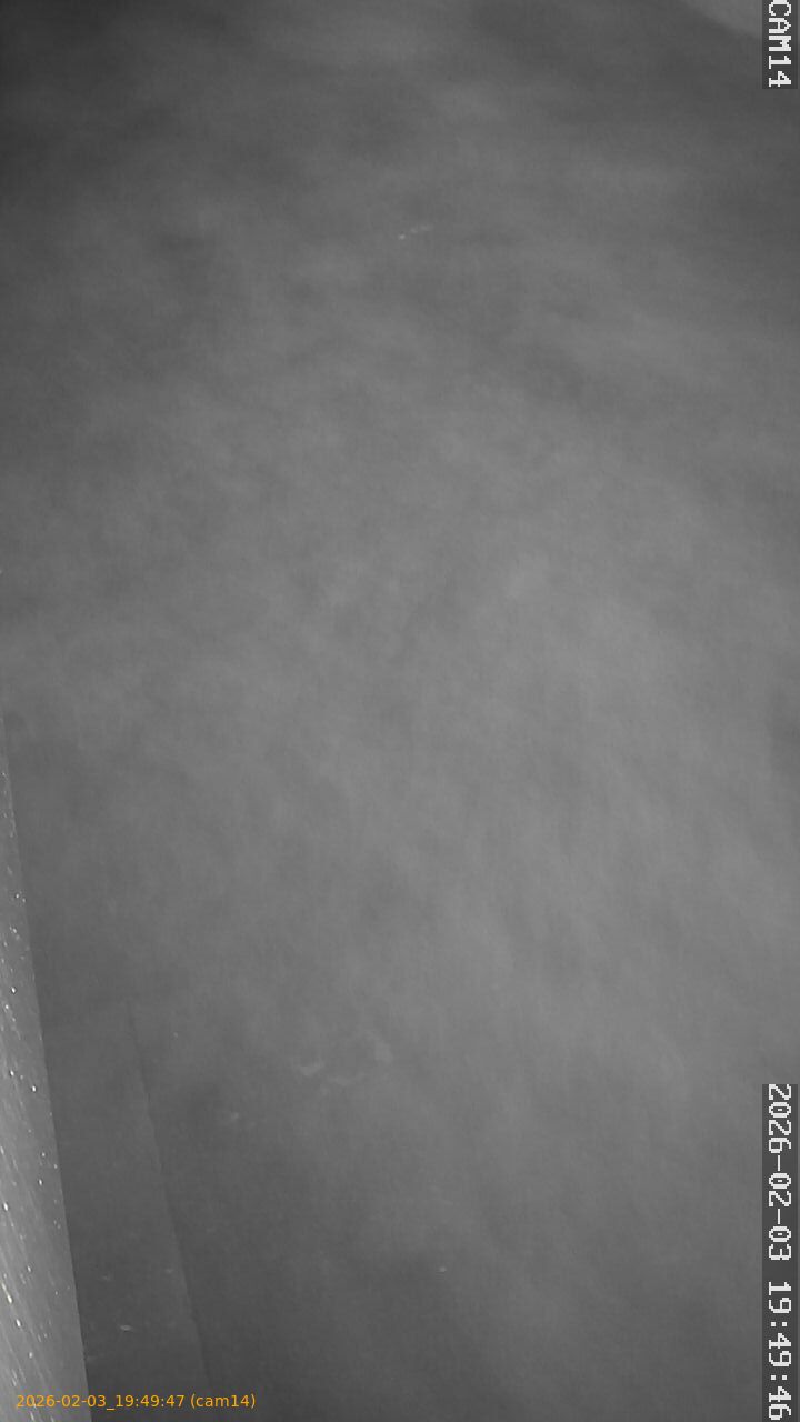 thumbnail_20260203194947