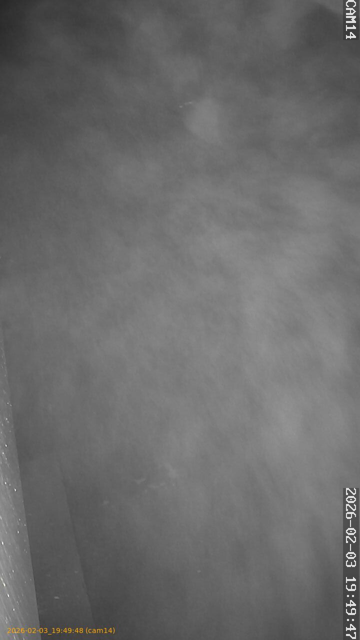 thumbnail_20260203194948