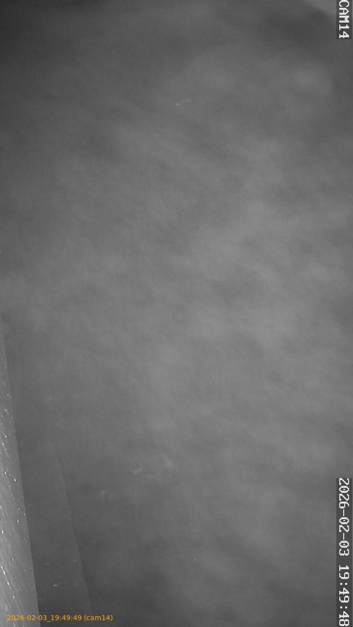 thumbnail_20260203194949