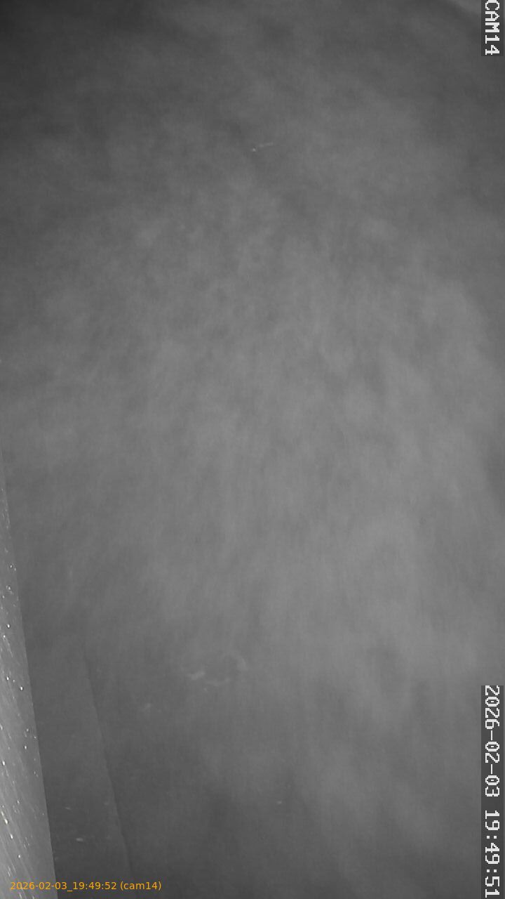 thumbnail_20260203194952