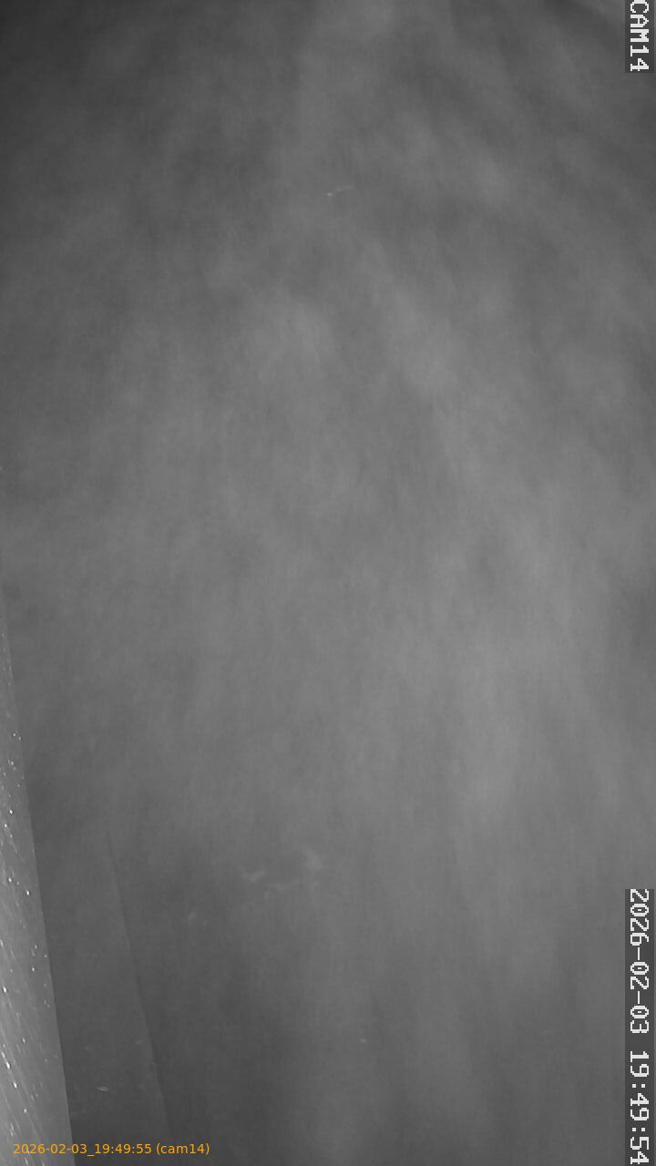 thumbnail_20260203194955