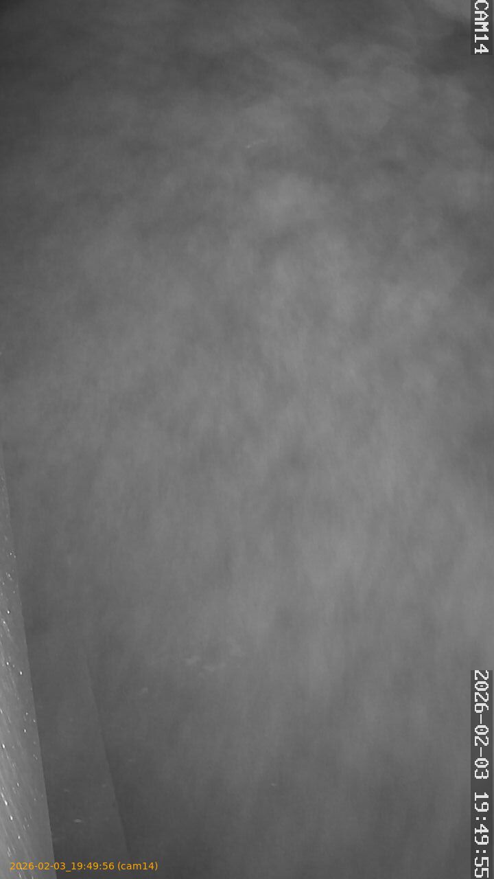 thumbnail_20260203194956