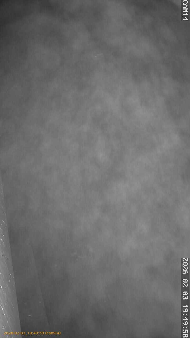 thumbnail_20260203194959