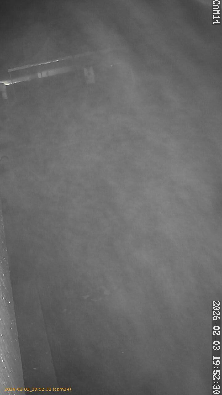 thumbnail_20260203195231