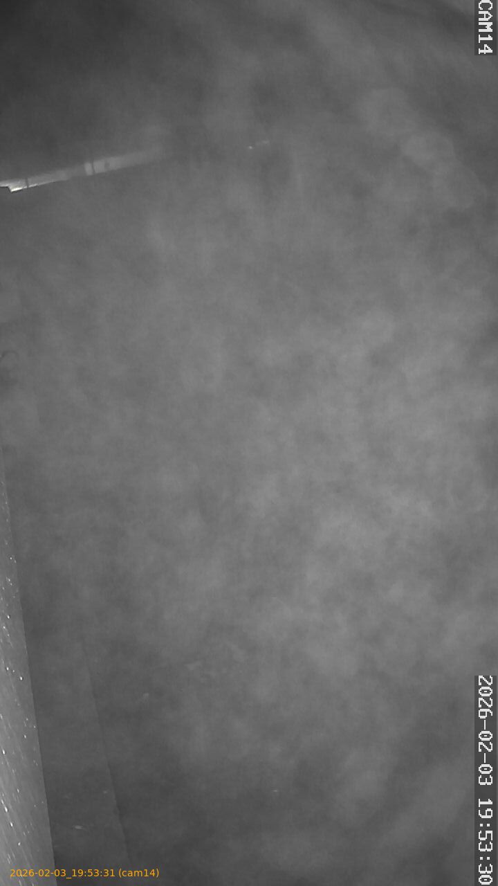 thumbnail_20260203195331