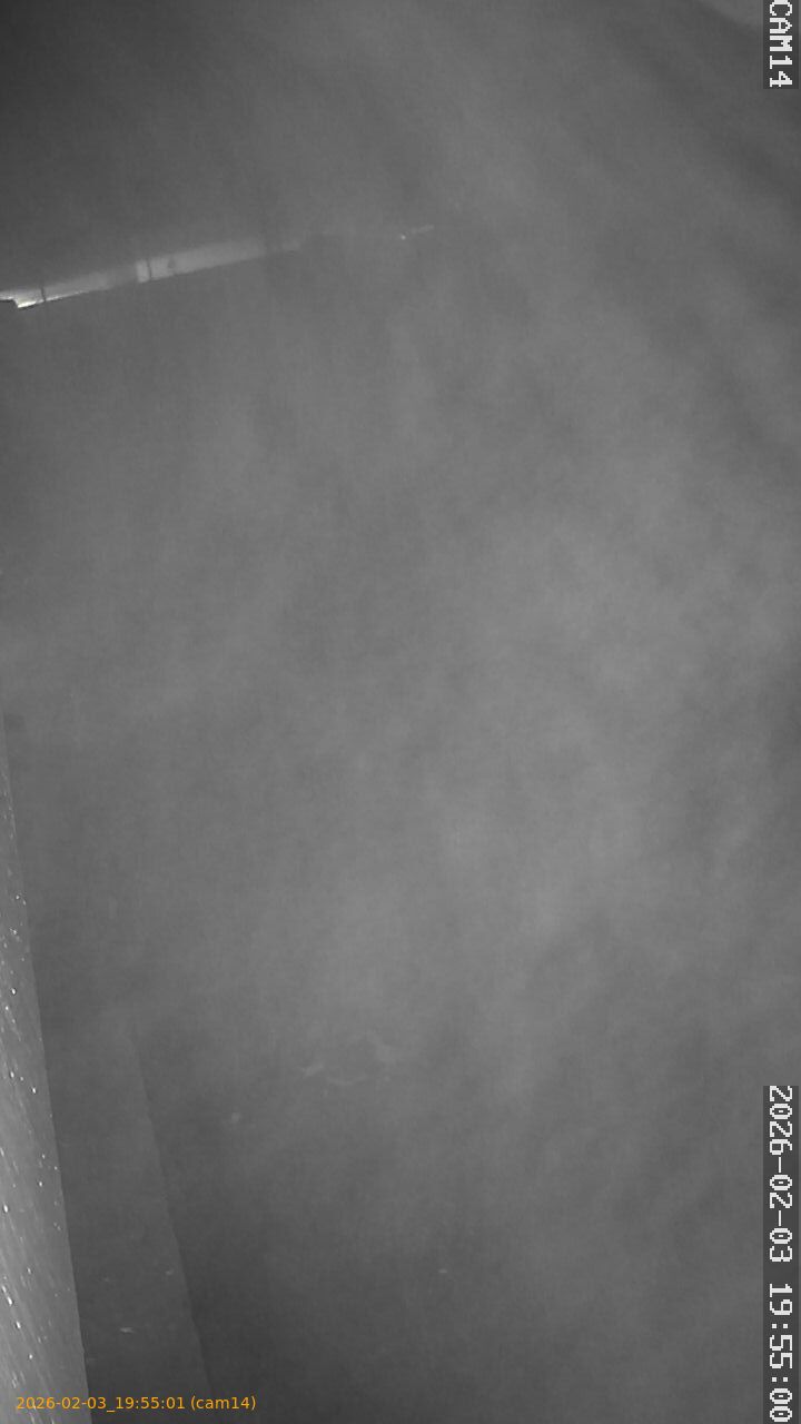 thumbnail_20260203195501