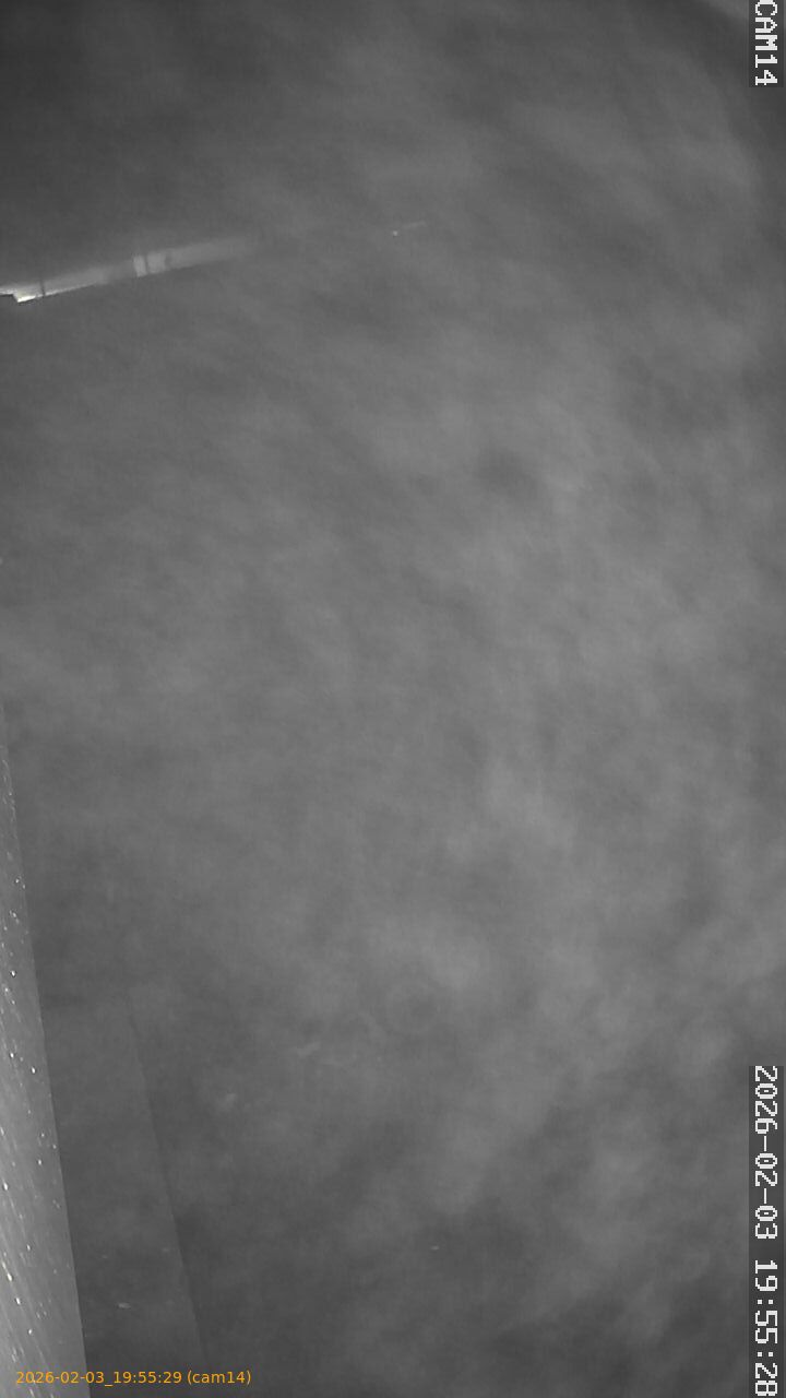 thumbnail_20260203195529