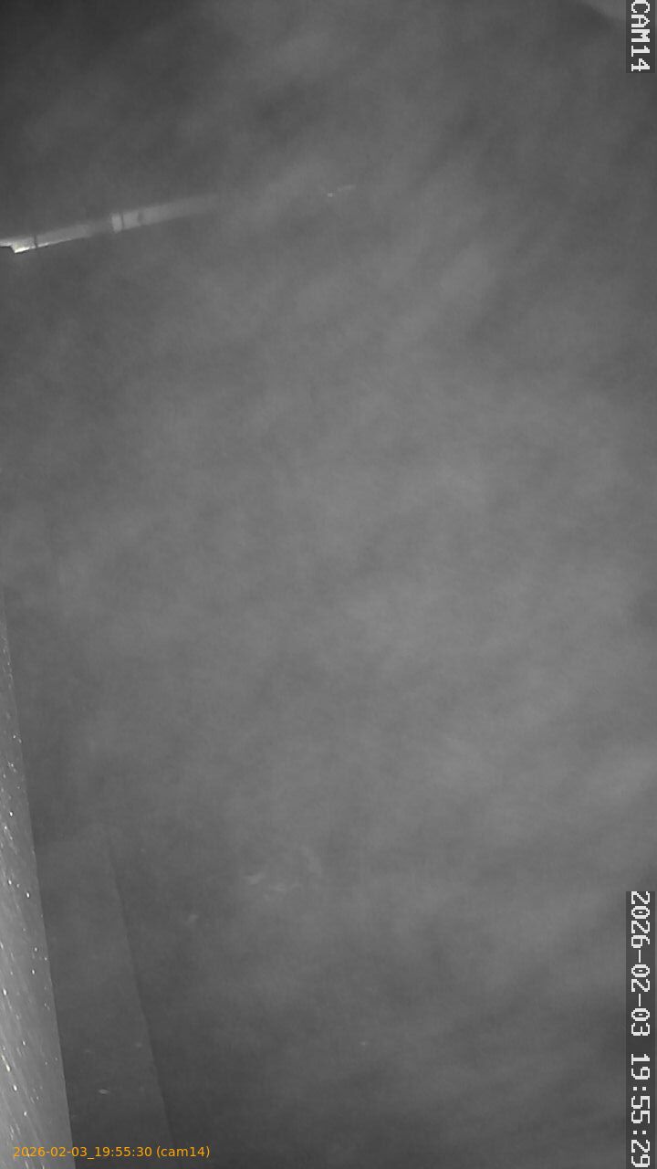 thumbnail_20260203195530