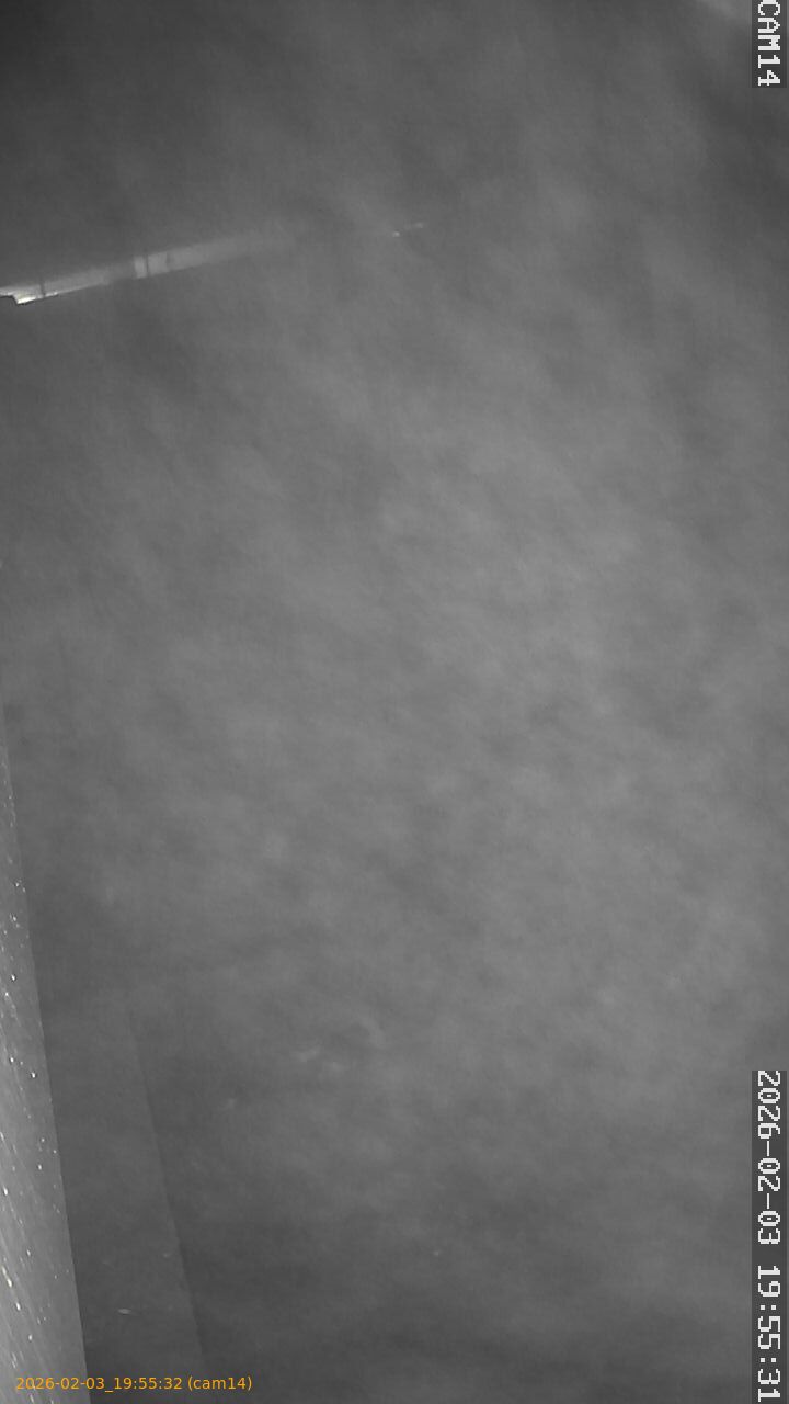 thumbnail_20260203195532