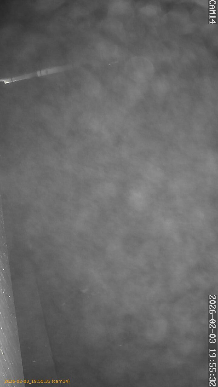 thumbnail_20260203195533