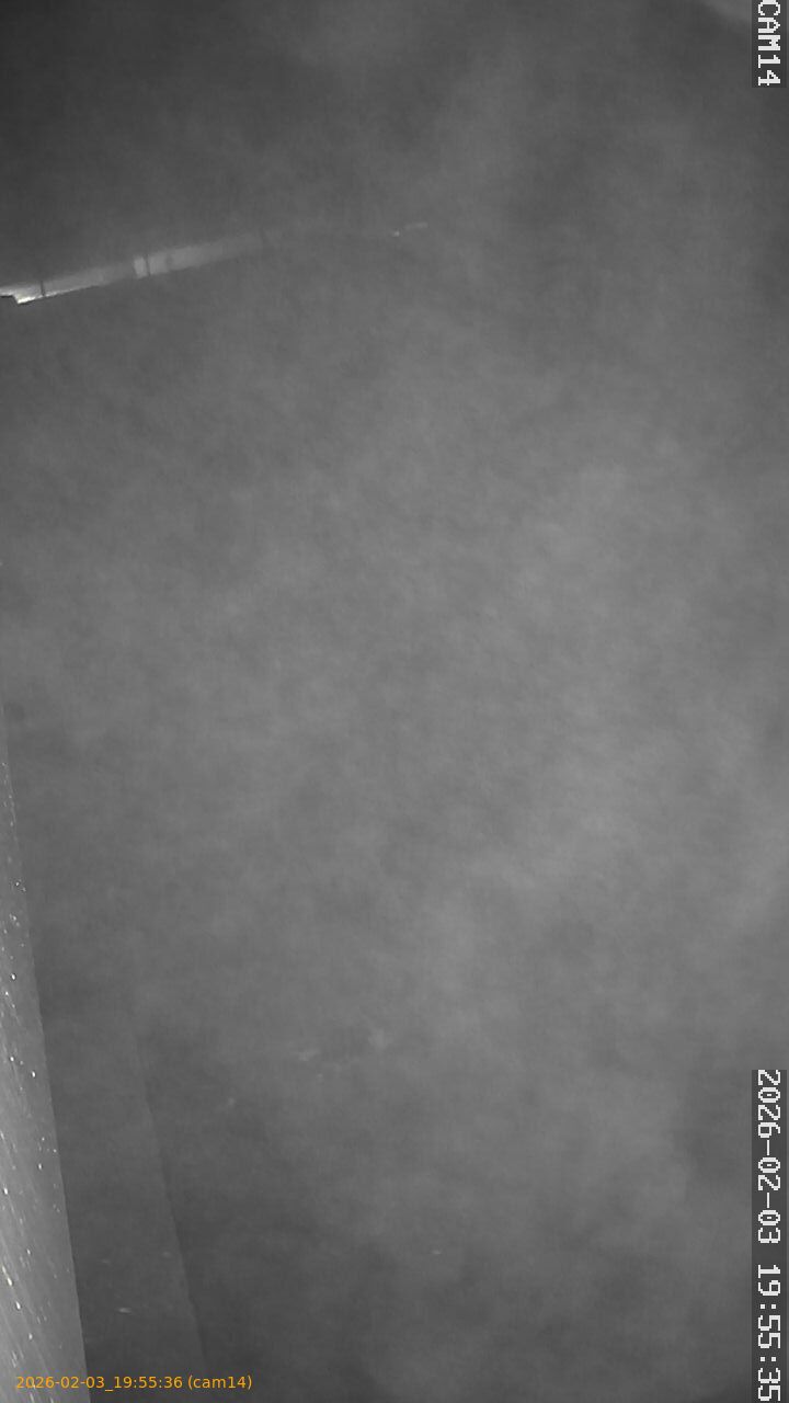 thumbnail_20260203195536