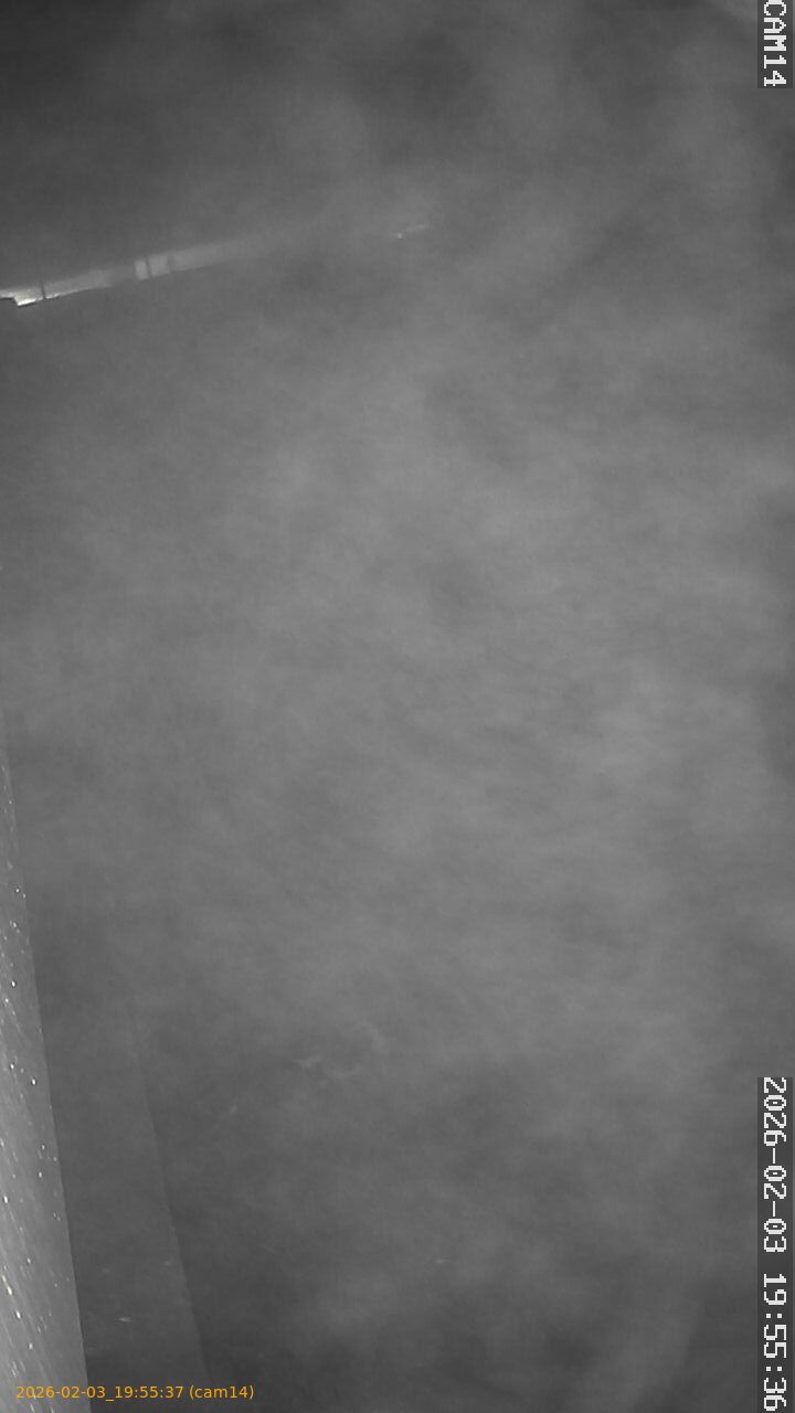 thumbnail_20260203195537