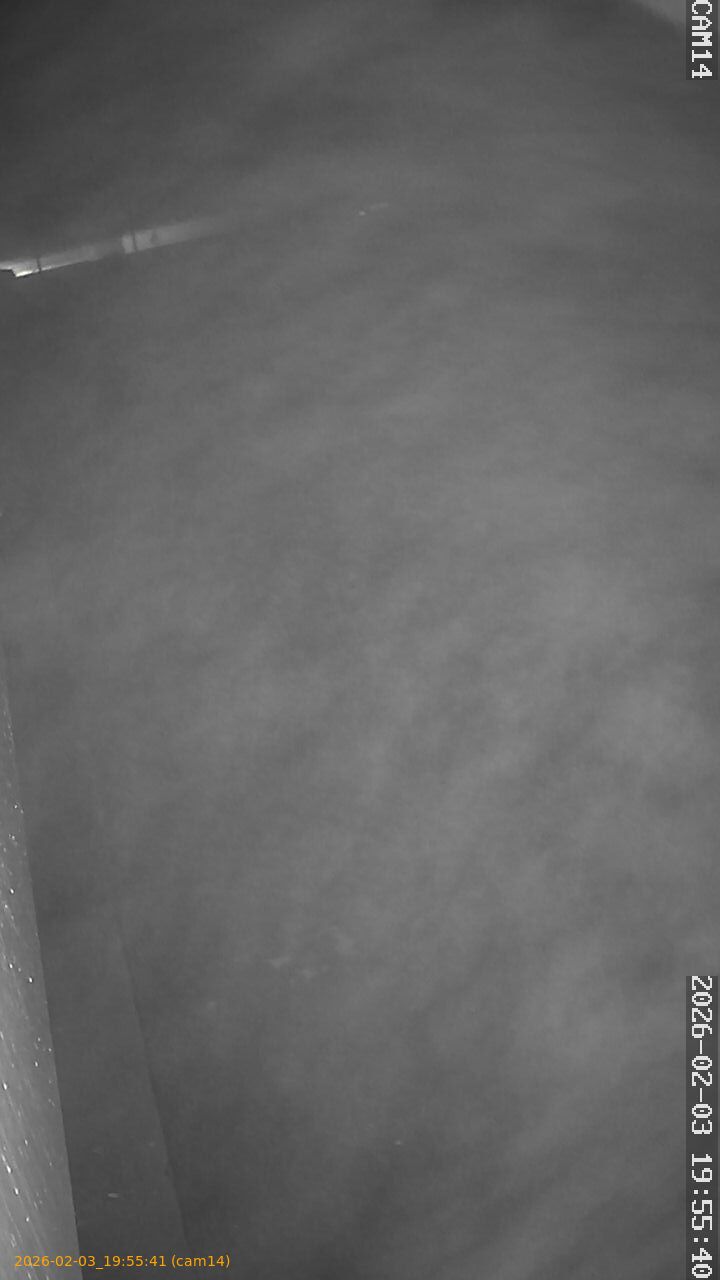 thumbnail_20260203195541