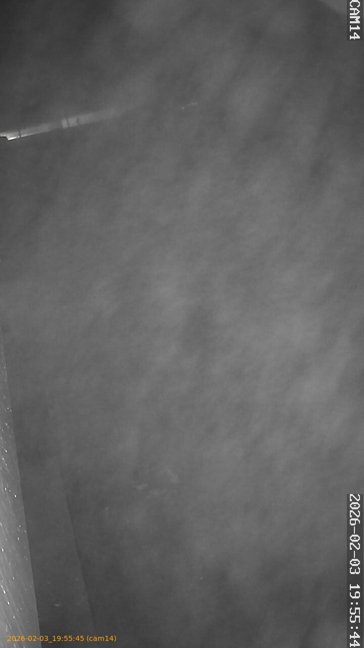 thumbnail_20260203195545