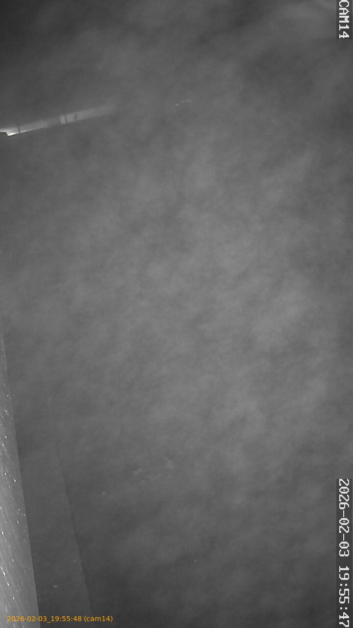 thumbnail_20260203195548