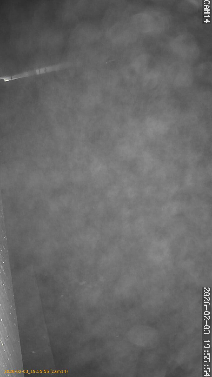 thumbnail_20260203195555