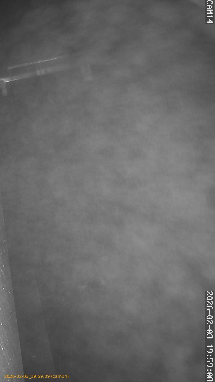 thumbnail_20260203195909