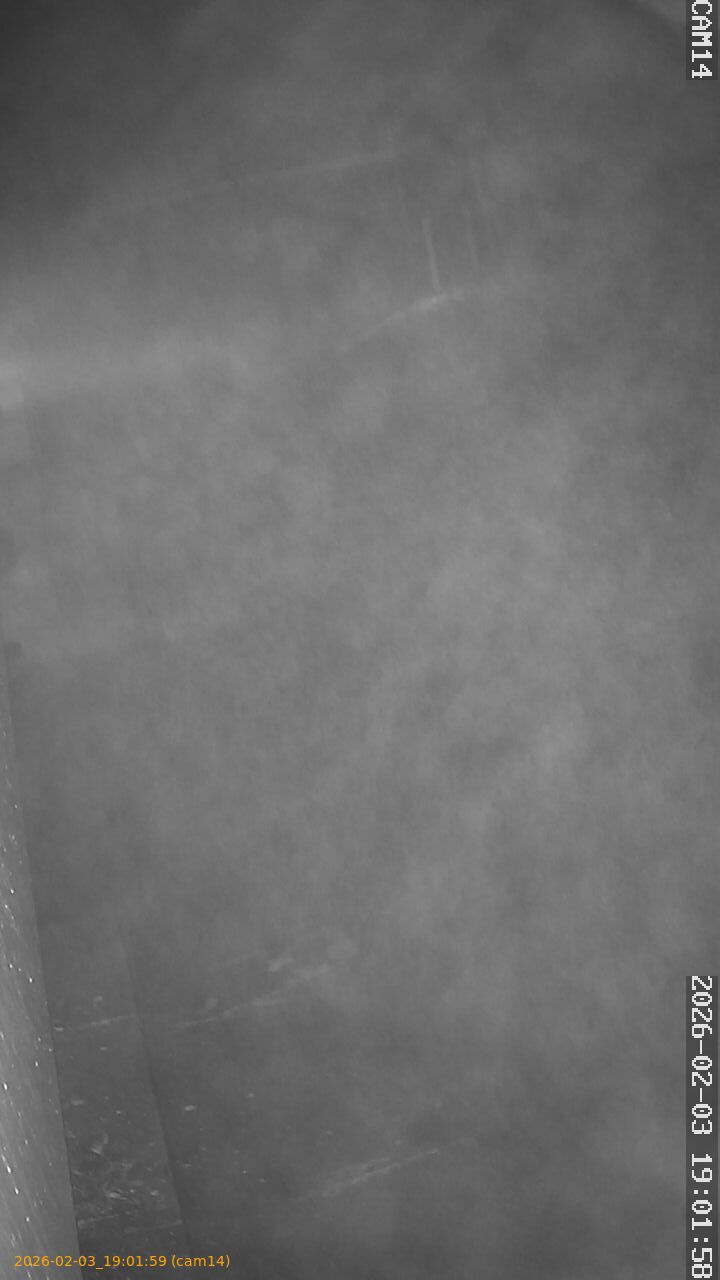 thumbnail_202602031901