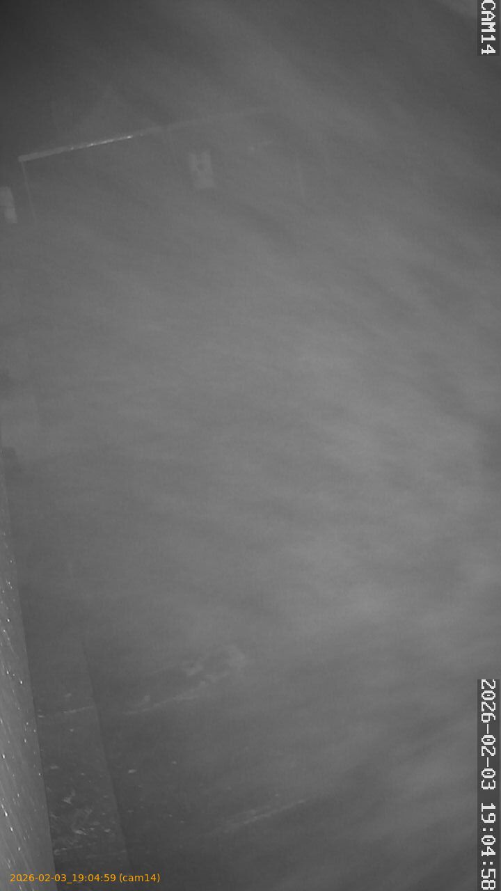 thumbnail_202602031904