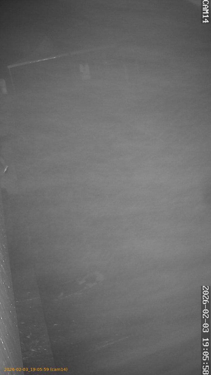 thumbnail_202602031905