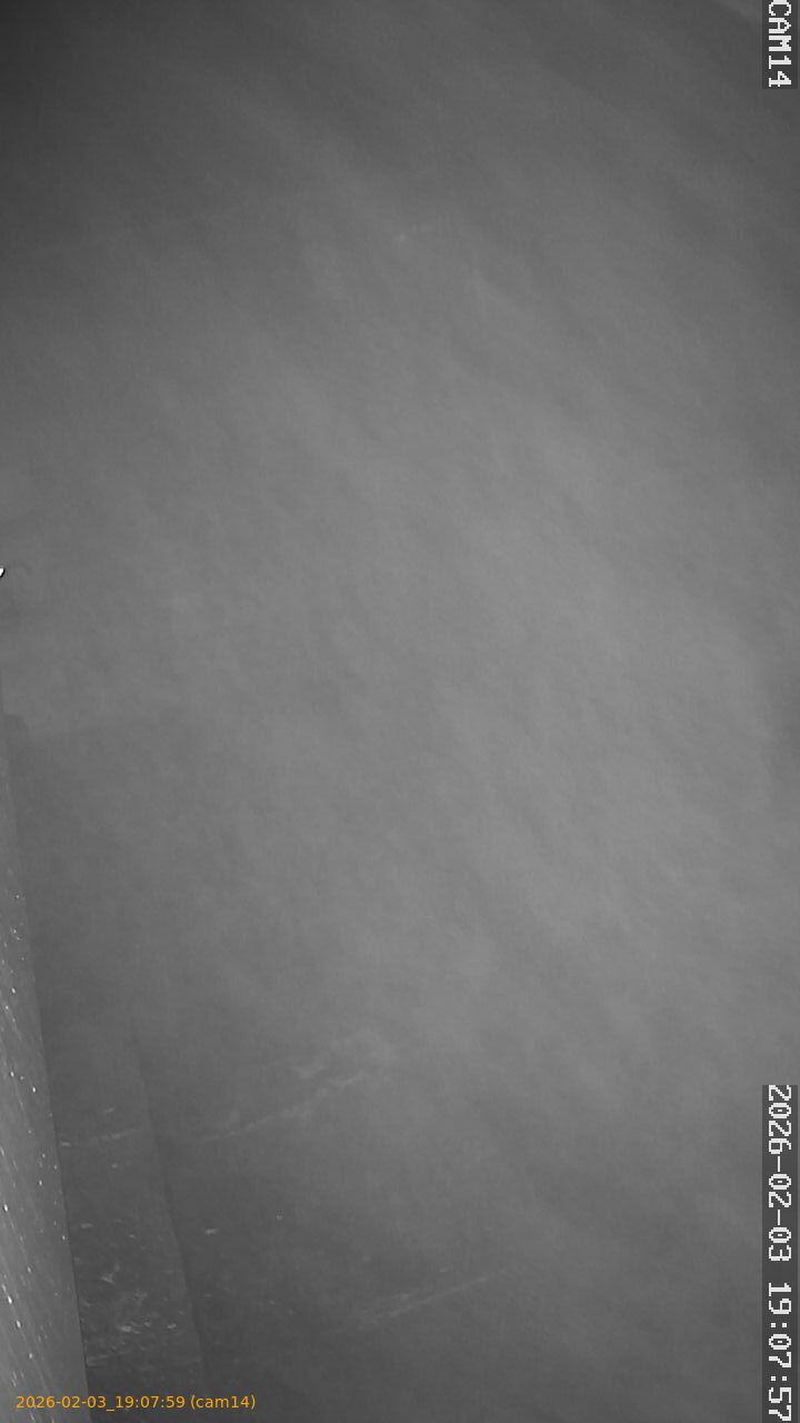 thumbnail_202602031907