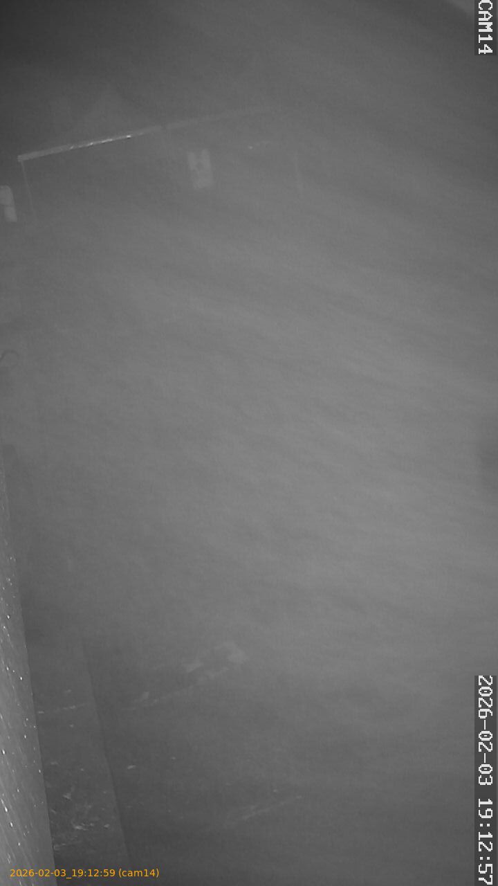 thumbnail_202602031912