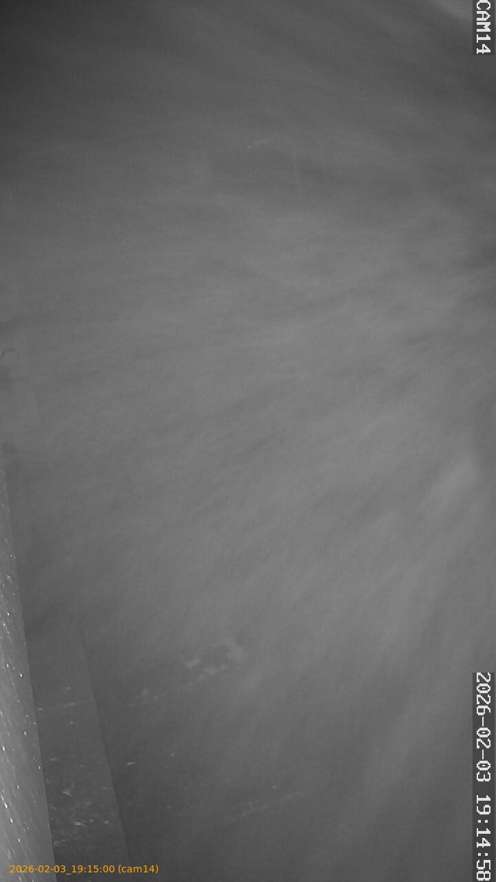 thumbnail_202602031914