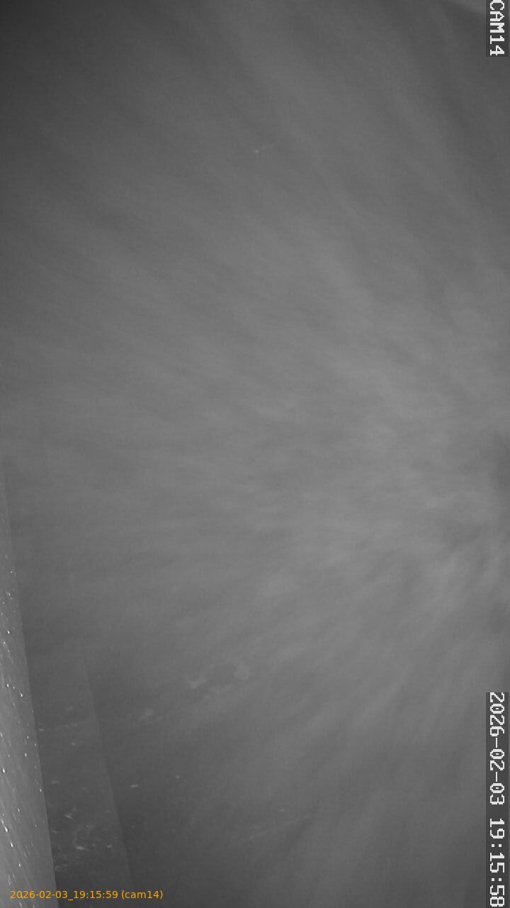 thumbnail_202602031915