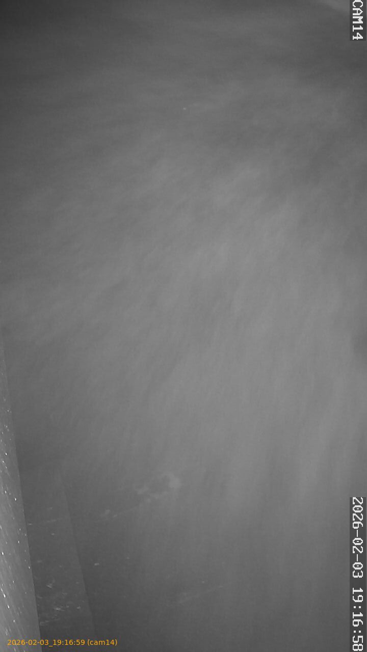 thumbnail_202602031916