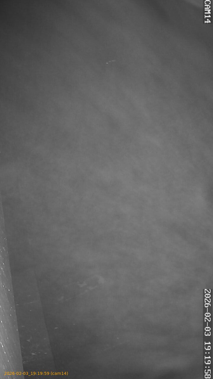 thumbnail_202602031919