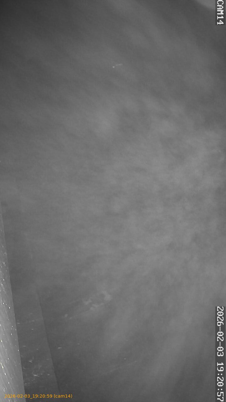 thumbnail_202602031920