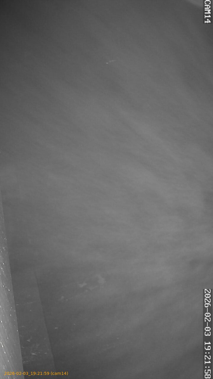 thumbnail_202602031921