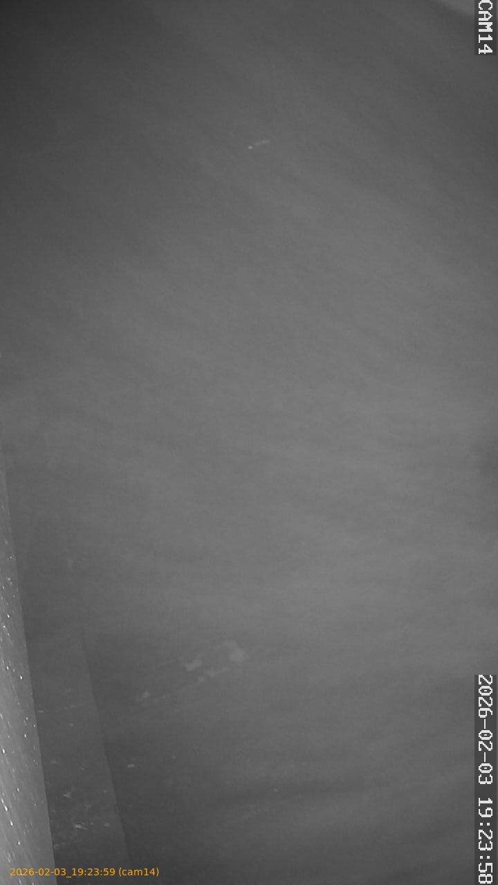 thumbnail_202602031923